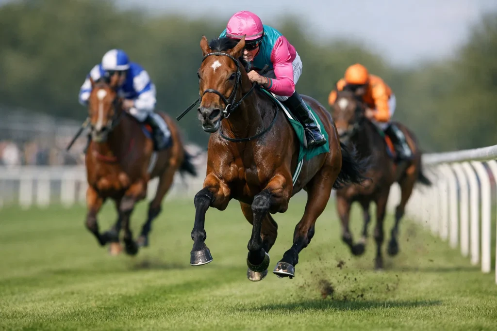 1000 Guineas favourite filly leading the field