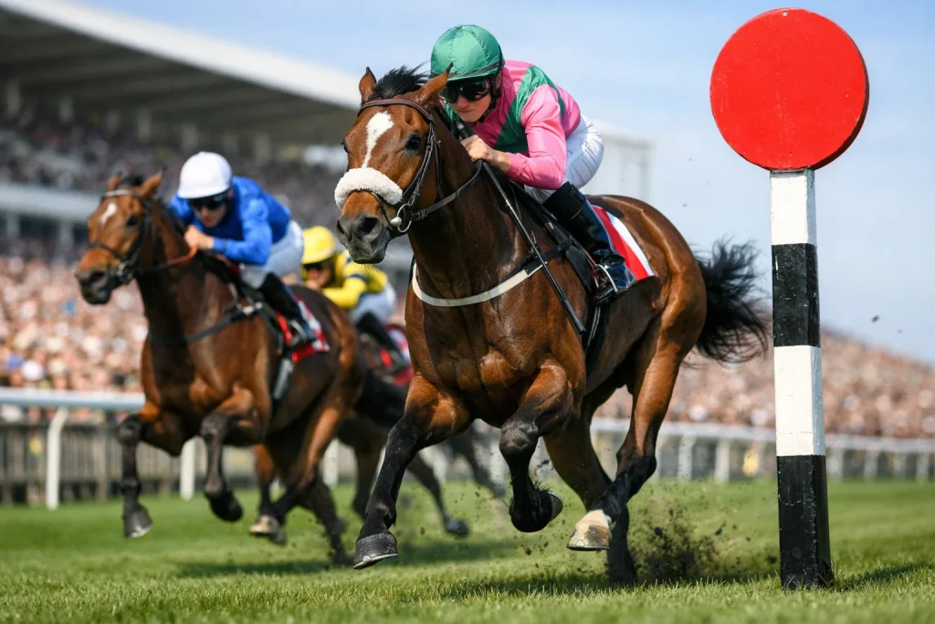 1000 Guineas trends fillies racing to the finish line